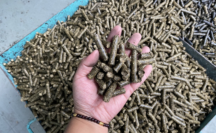 生物質(zhì)能源是天然的綠色燃料，燃燒后從原料再生到能源轉(zhuǎn)化，可全周期趨于碳的零排放。因此實(shí)現(xiàn)碳中和目標(biāo)，生物質(zhì)能大有可為