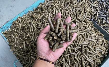 去煤減碳 生物質能源開啟替代空間